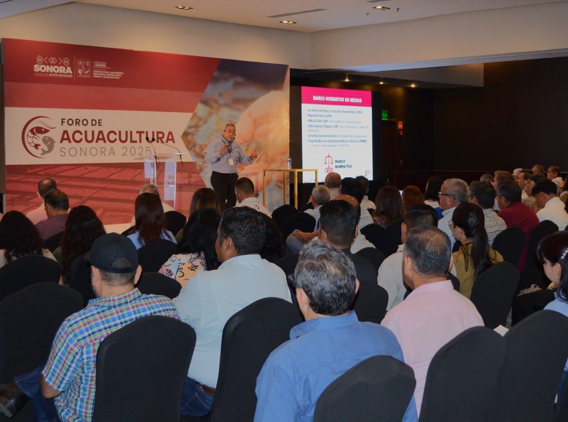 Sonora apuesta por fortalecer la acuacultura de moluscos, oportunidad para el desarrollo regional.