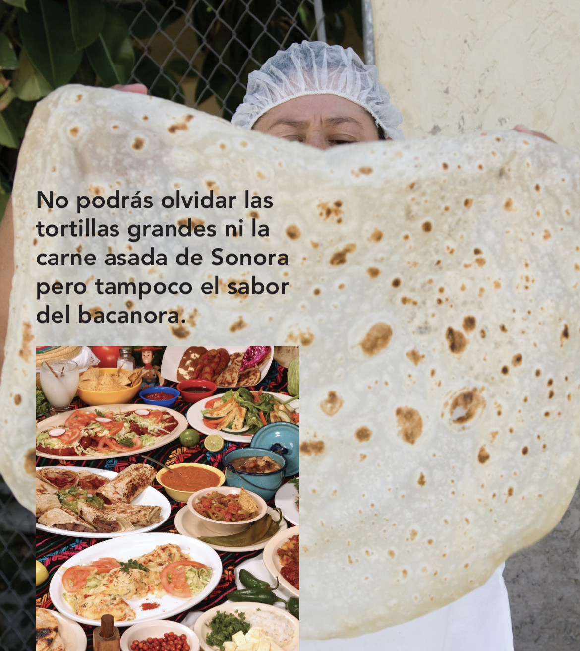 Festival Regional de la Tortilla Grande Sonorense llegará a Phoenix.