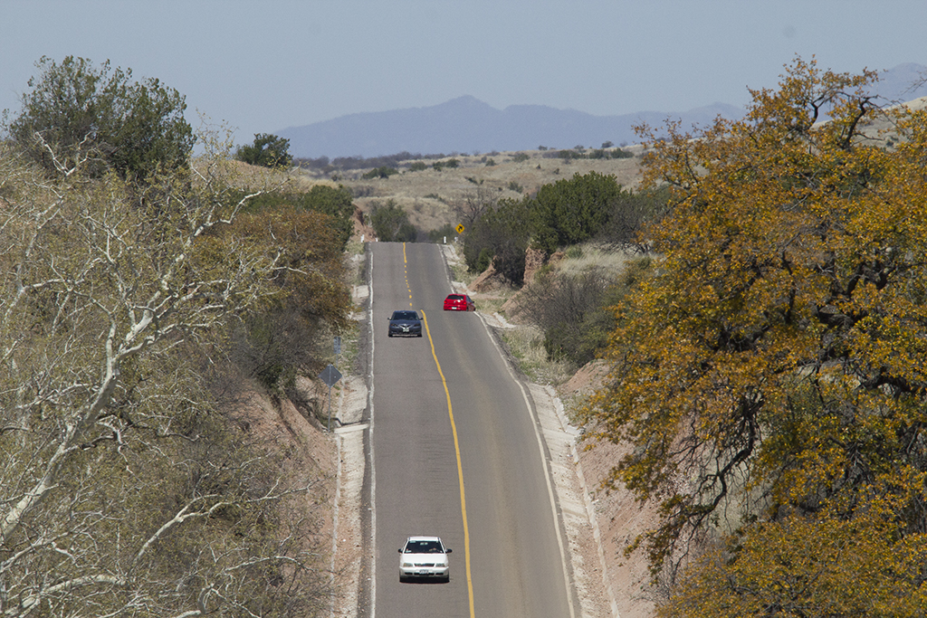 Cananea se viste de verde, inicia reforestación con 30 mil árboles en el Cañón de Evans.