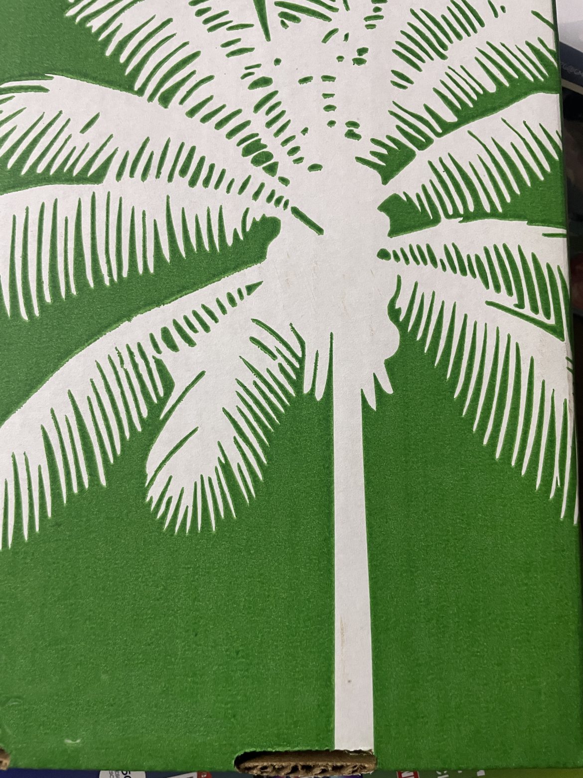 Inauguran en San Luis Río Colorado el 4.º Festival Internacional de la Palma Datilera.