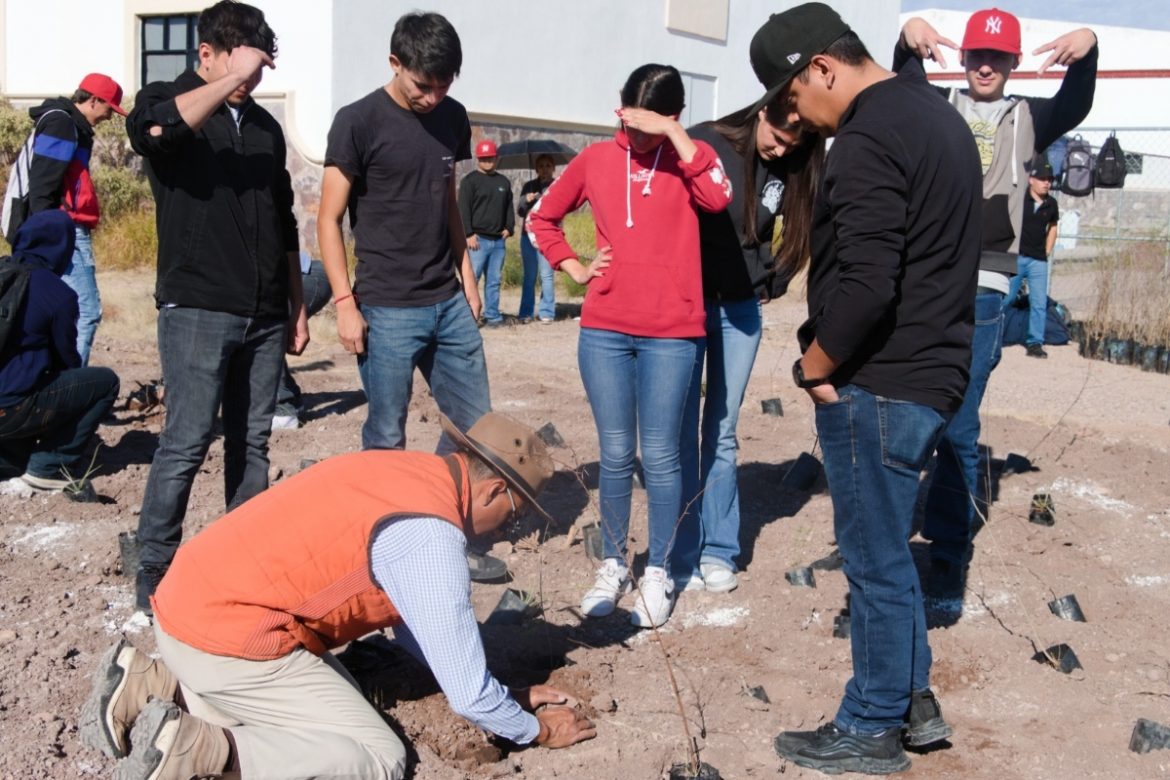Crea Universidad de la Sierra el primer bosque con técnica Miyawaki