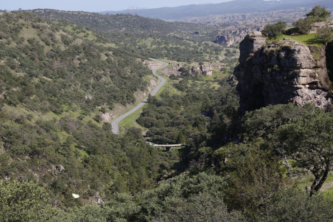 Regency Silver amplía su presencia minera en Sonora con la adquisición de La India en Yécora.