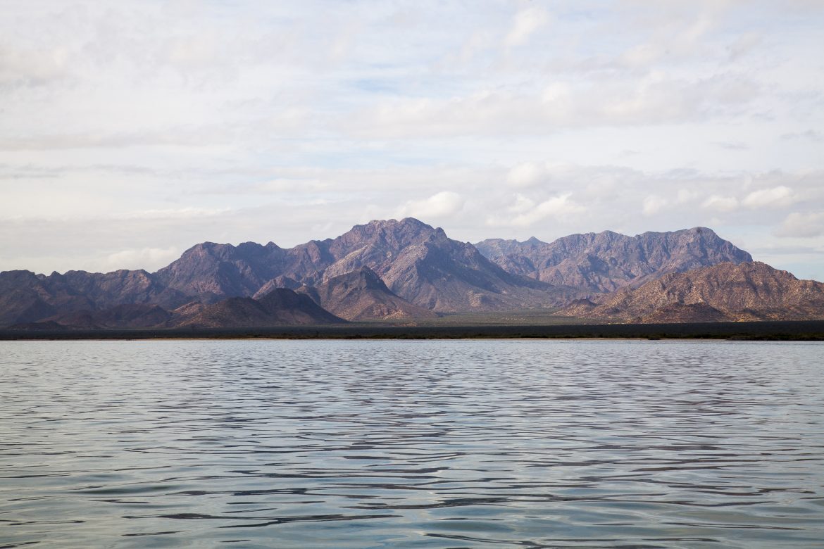 Comunidad Comcáac impulsa modelo de cacería legal y sustentable en Isla del Tiburón