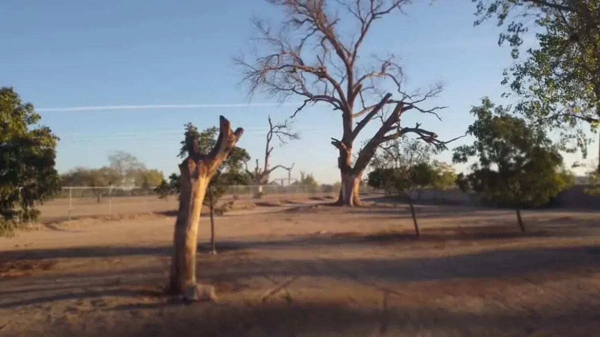 Presentarán proyecto para reforestar y regularizar el lecho del Río Mayo y beneficiar a comunidades indígenas.