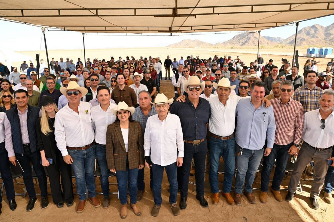 Inicia temporada de cosecha de espárrago con participación de más de 45 mil jornaleros en Sonora.