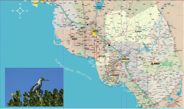 Circuito Sierra-Mar impulsa turismo en el Sur de Sonora esta Semana Santa.
