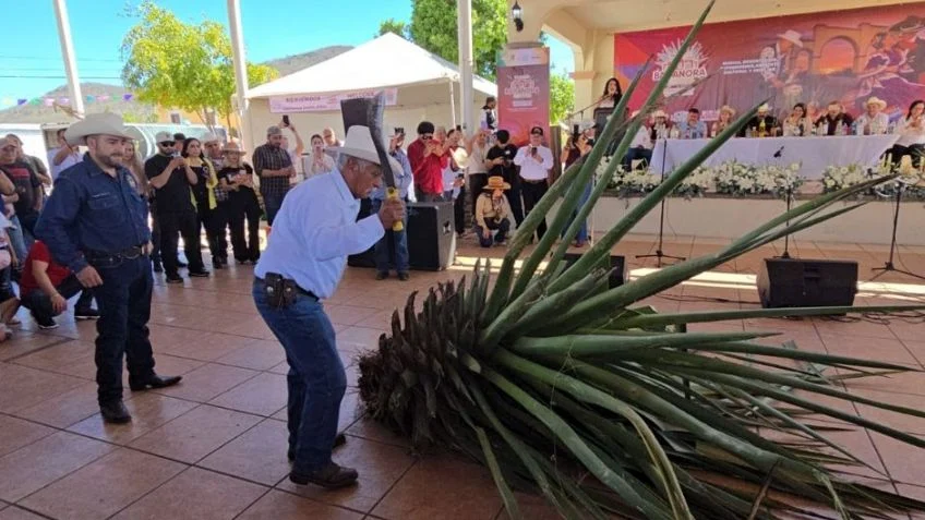 Bacanora Fest 2026 en Rosario de Tesopaco.