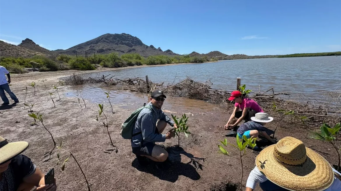 Ecologistas de Yavaros se capacitan en siembra de mangle en Sonora.
