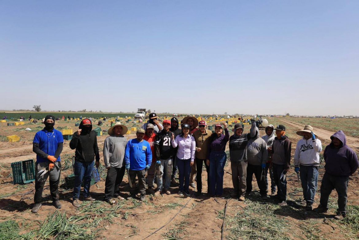 Fortalecen producción agrícola de alto valor en San Luis Río Colorado.
