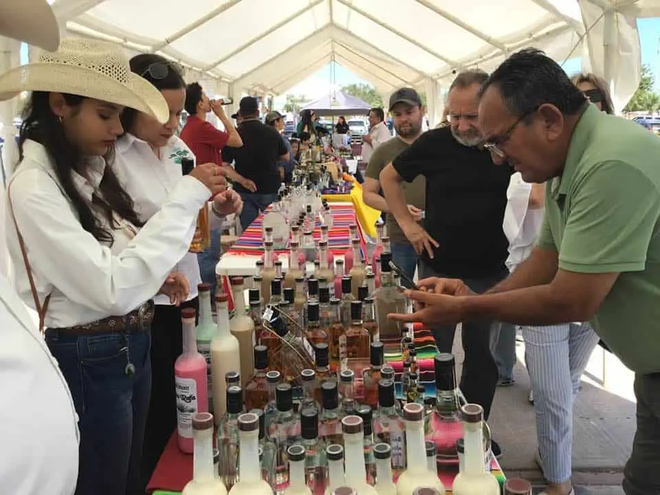 Navojoa se prepara para celebrar la cuarta edición del Festival del Bacanora y la Cerveza Artesanal.