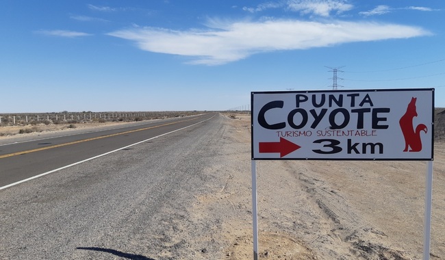 Punta Coyote obtiene distintivo nacional.