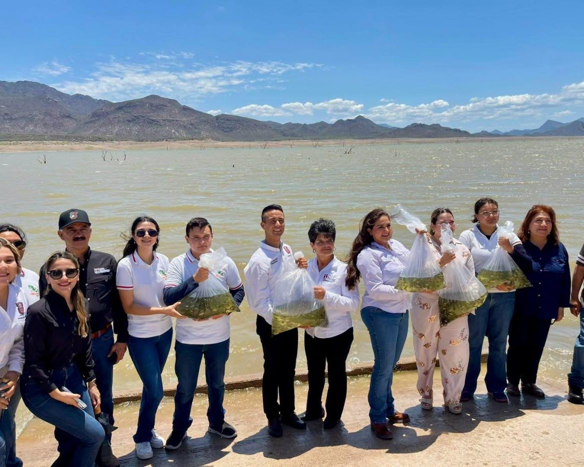 Impulsan pesca en región rural