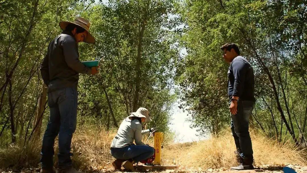 Conservación del Delta del Río Colorado protege 40 mil hectáreas de humedales en Sonora y Baja California.