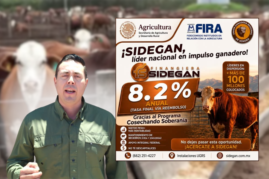 Sidegan supera los 100 millones de pesos en créditos para productores de Sonora.