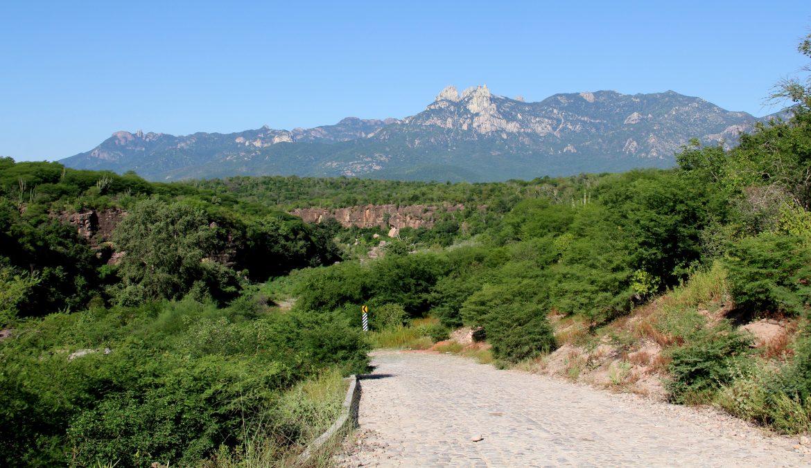 El Circuito Sierra-Mar en el Sur de Sonora.
