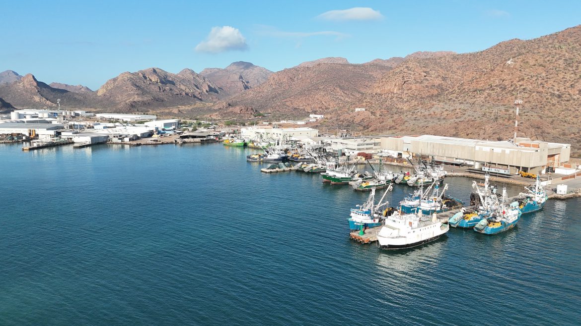Flota sardinera de Guaymas atracada en parque industrial Rodolfo Sánchez Taboada.